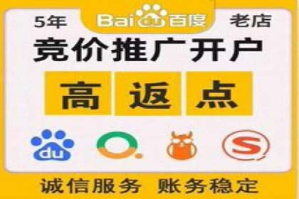 百度推广代运营案例：案例分享：打造爆款产品